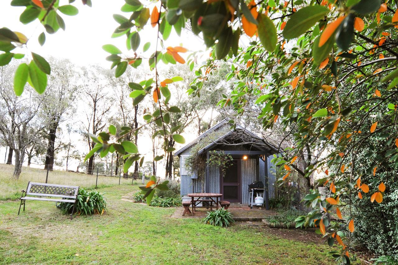 In The Grove, The Church, And Premium Private Homestead * Mudgee